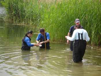 Bluewater Shopping Centre Estate Staff surveying lake