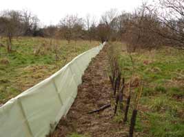 Exclusion Fencing