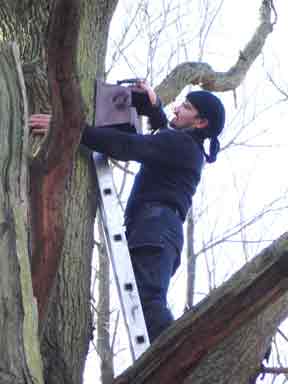 Installation of Nest Boxes