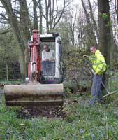 Creating Path through woodland