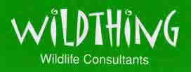 Wildthing Logo